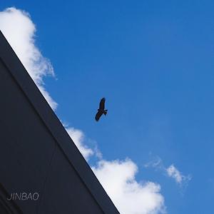 六十岁老太婆logo
