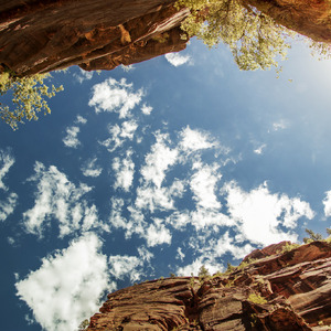 六十岁老太婆logo
